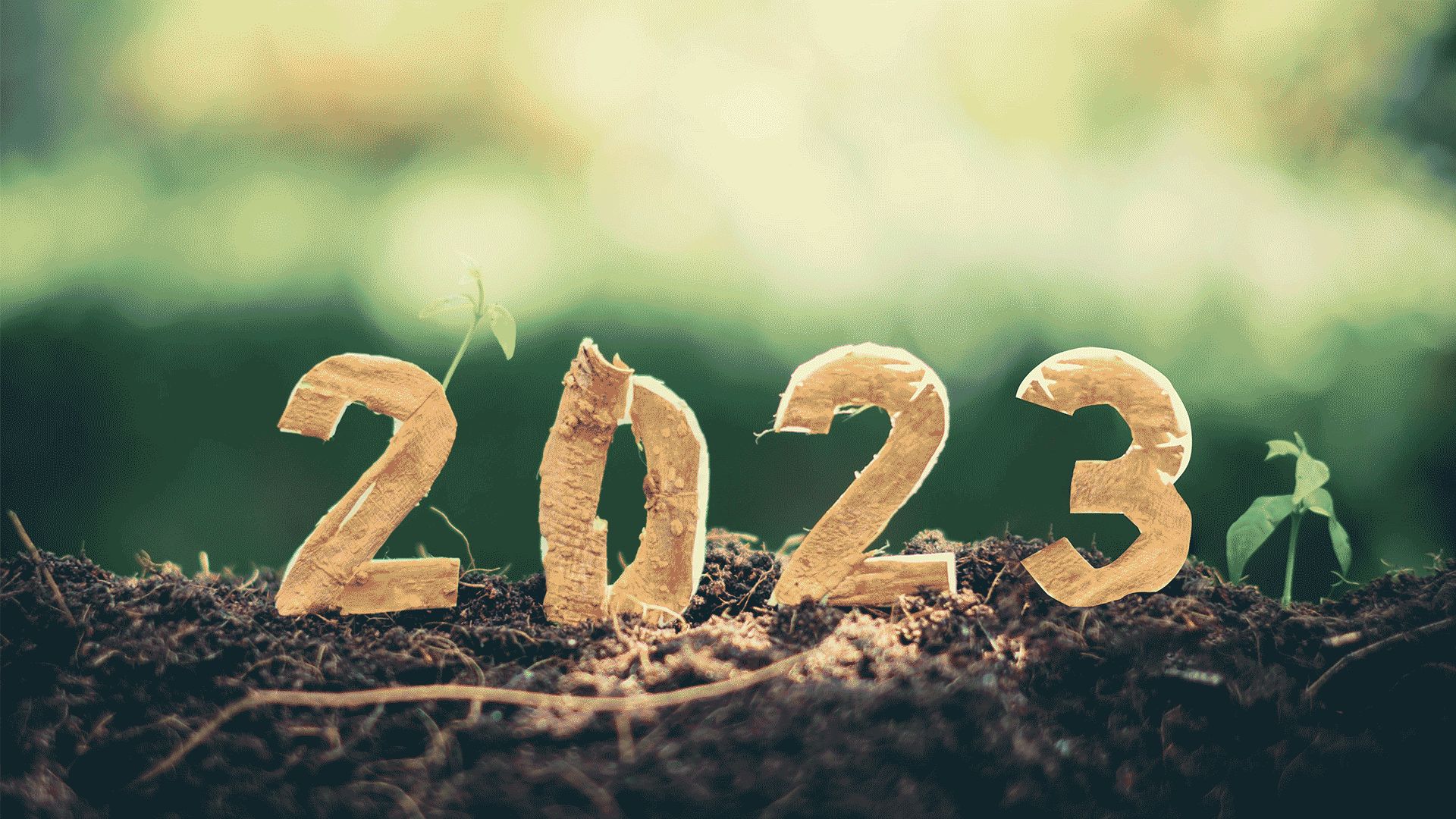 Kicking Off Year 4 with Commitments for 2023